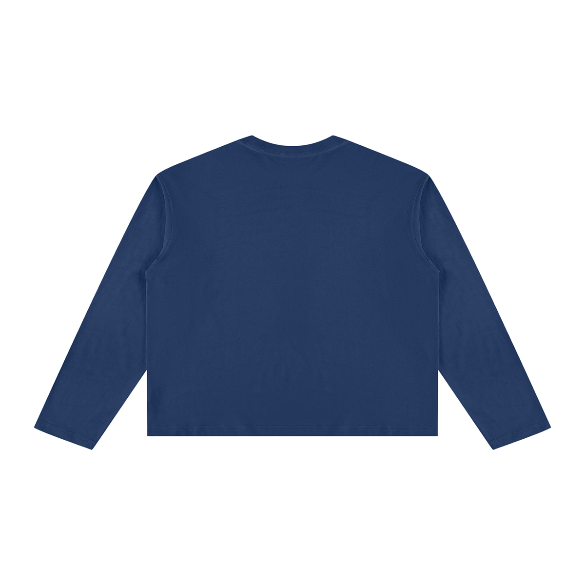 tiger Vintage Wash Long Sleeve Boxy T-Shirt